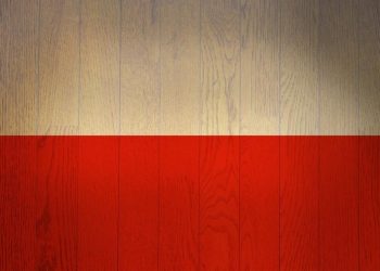 The Horrific Execution of Nuns Who Stood Up to Hitler, Struggling With Vices, and More Great Links!| National Catholic Register