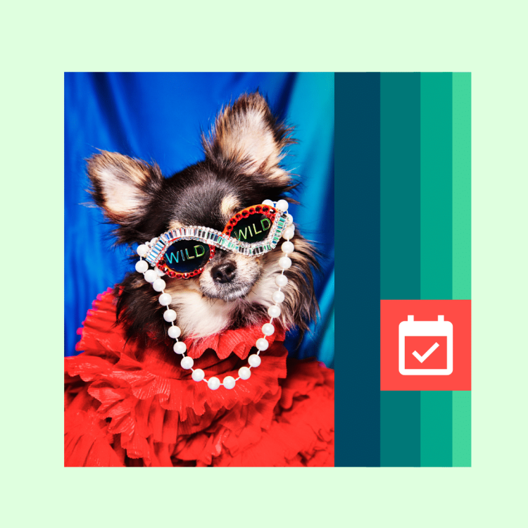 The Complete List of Social Media Holidays [2023 Edition]