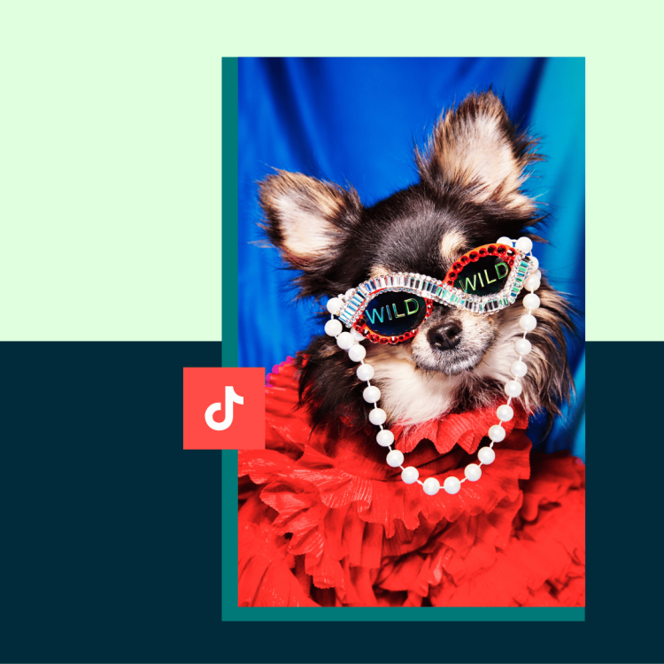 11 Top Tips (and Why They Work)