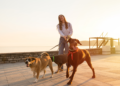600 Best Ever Unique and Trendy Dog Walking Business Names in 2023