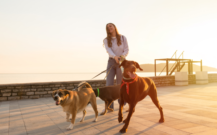 600 Best Ever Unique and Trendy Dog Walking Business Names in 2023