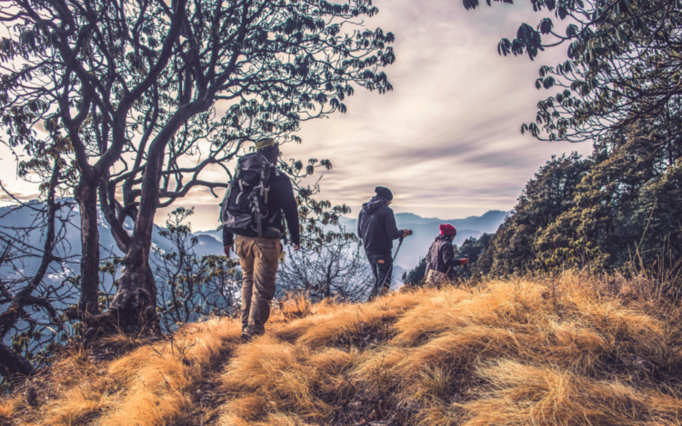 1,019 Bold Outdoor Business Name Ideas to Attract Customers in 2023