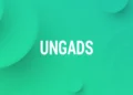 UngAds Review: Expanding Your Ad Network Choices