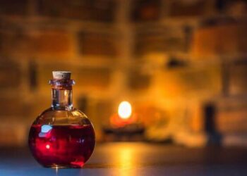 The Only Place Where You Can Sell Beasts in Hogwarts Legacy!