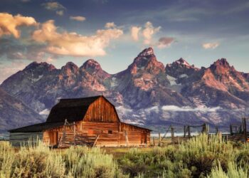 A Deep Dive on the County Level