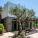 Inside A $3.9 Million Luxury Villa On Italy’s Island Of Capri