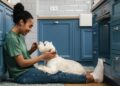 32 Paid Jobs That Let You Work With Animals