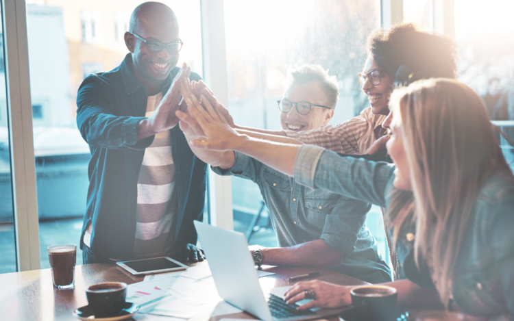 5+ Options To Compare For The Best Results in 2024