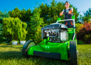 7 Great Example of Landscaping Websites To Help You Grow in 2024