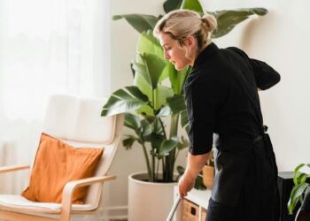 Opportunity for cleaners, owners and gamers