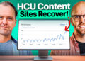 Who Are the Winners in Google’s Core Update and the HCU Recovery?