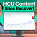Who Are the Winners in Google’s Core Update and the HCU Recovery?