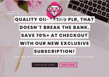 How Mallaury Agyei Earns $5k/Month Selling Printables Using SEO & Relationship Building  – Niche Pursuits