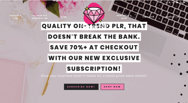 How Mallaury Agyei Earns $5k/Month Selling Printables Using SEO & Relationship Building – Niche Pursuits