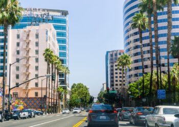 20 States Where New Businesses Have the Best Odds for Success