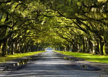 Frankly, My Dear, Your Savings Are in Trouble: 7 Financial Blunders