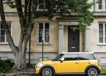 Drive Your Way to Wealth