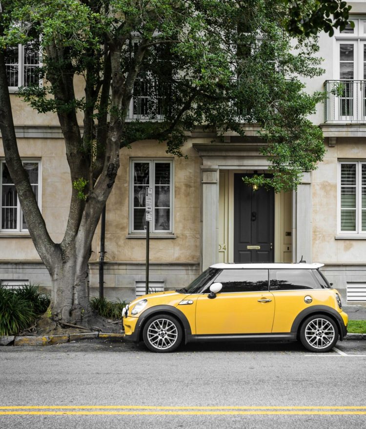 Drive Your Way to Wealth