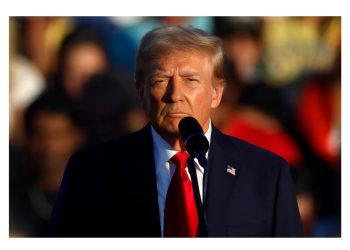 Trump and Musk Take on ‘Fraud’: 5 Potential Taxpayer Consequences