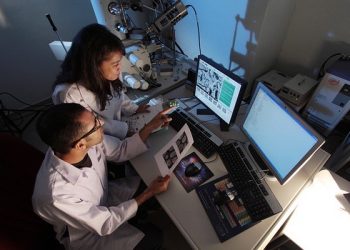 Here’s How to Make Money as a Human Guinea Pig (Earn $50-$10,000 Per Study)