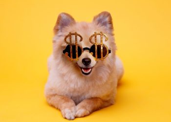 5 Personal Finance Trends Emerging Under Trump