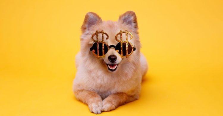 5 Personal Finance Trends Emerging Under Trump