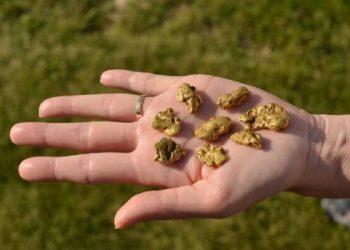 Top 8 Places to Pan for Gold in USA (Find Gold!)