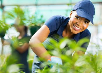 The 15 Fastest-Growing Green Jobs for 2025 (and What They Pay)