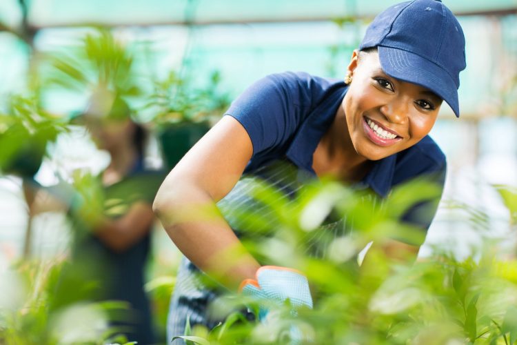 The 15 Fastest-Growing Green Jobs for 2025 (and What They Pay)