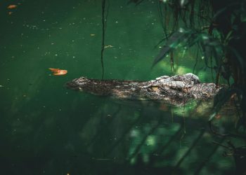 Hidden Costs of Popular Side Gigs And How to Avoid Them