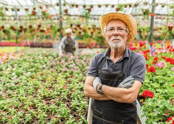 How to Collect Social Security While Working (and Jobs to Consider)
