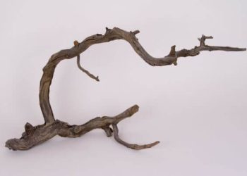 How to Sell Driftwood for Cash: Pricing, Prep & Where to List (2025)