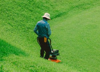 TaskEasy: Make Money Mowing Lawns