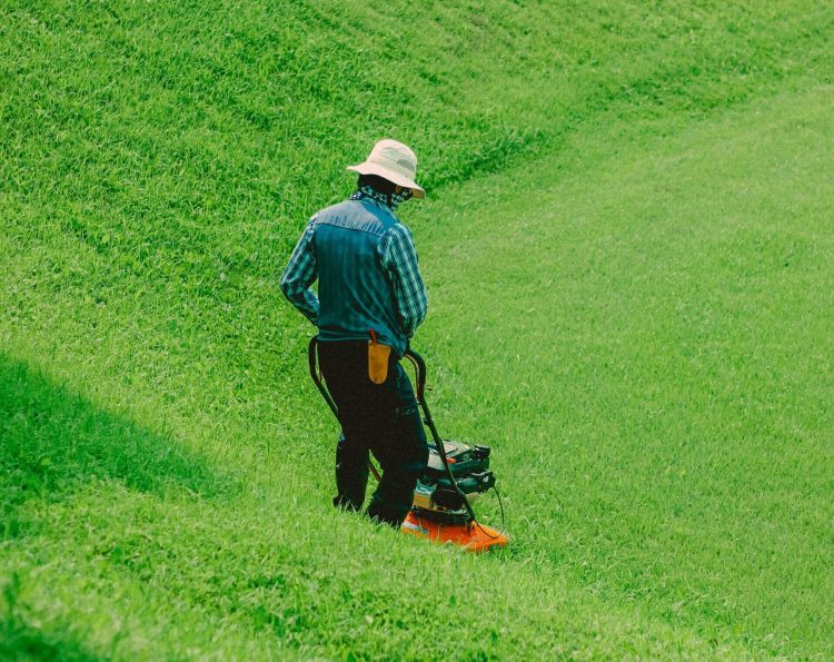 TaskEasy: Make Money Mowing Lawns