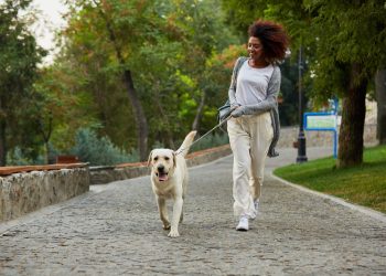 5 Legit Side Hustles for Introverts (No Uber Driving Required)