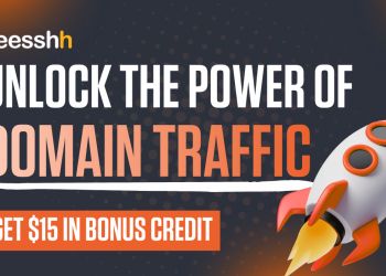 Unlock the Power of Domain Traffic