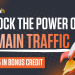 Unlock the Power of Domain Traffic