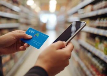 5 Ways to Check Your EBT Balance (Why It Says $0 + How to Fix It)