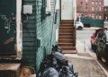 Trashie: This Side Gig is Pure Trash