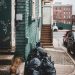 Trashie: This Side Gig is Pure Trash
