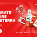 Adsterra 13th Anniversary: Growth Styles Behind Successful Campaigns